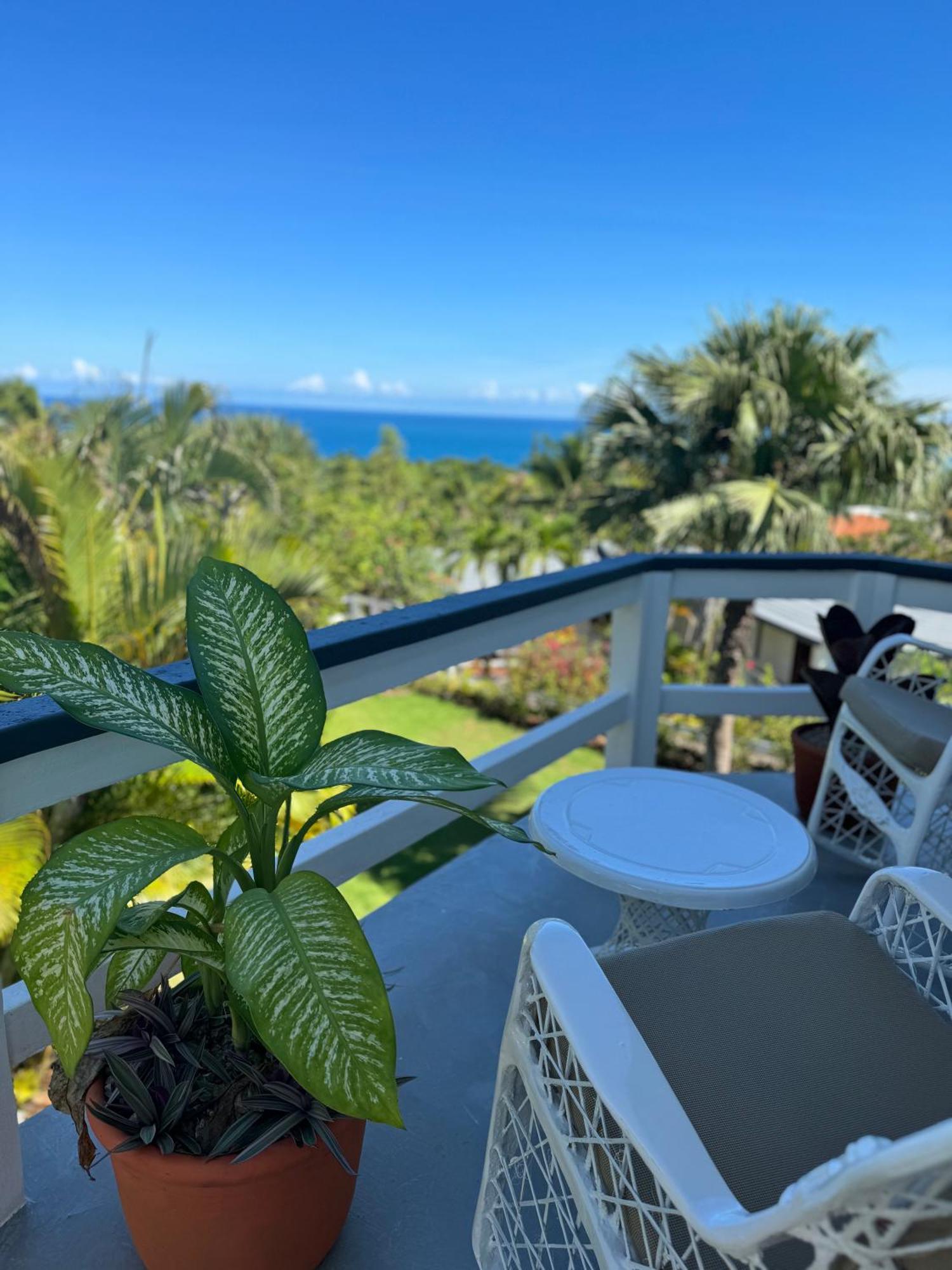 Catalina, Cabrera Oceanview Multi 2 Bd 2 Bath Condo Units With Balcony And Pool 外观 照片