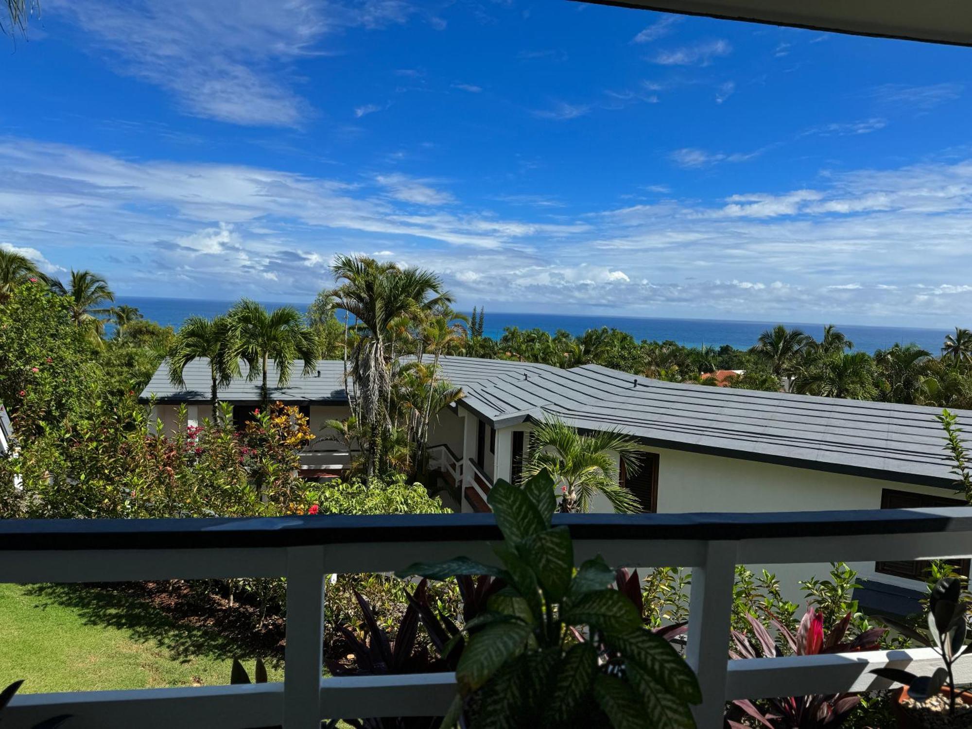 Catalina, Cabrera Oceanview Multi 2 Bd 2 Bath Condo Units With Balcony And Pool 外观 照片